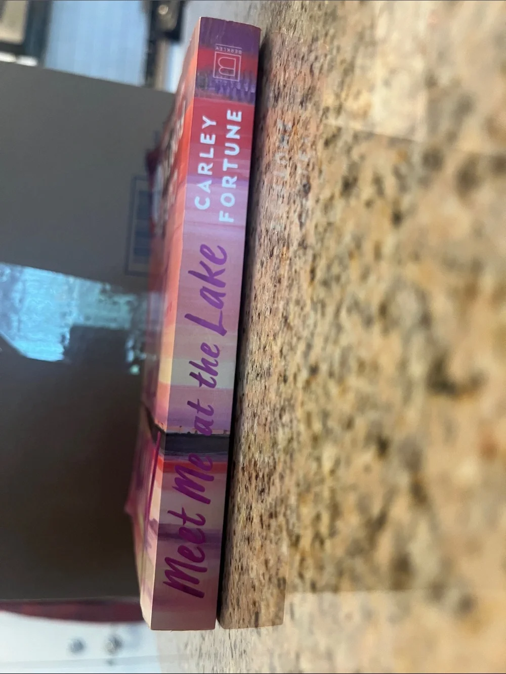 Meet Me at the Lake by — Pink & Purple Cover